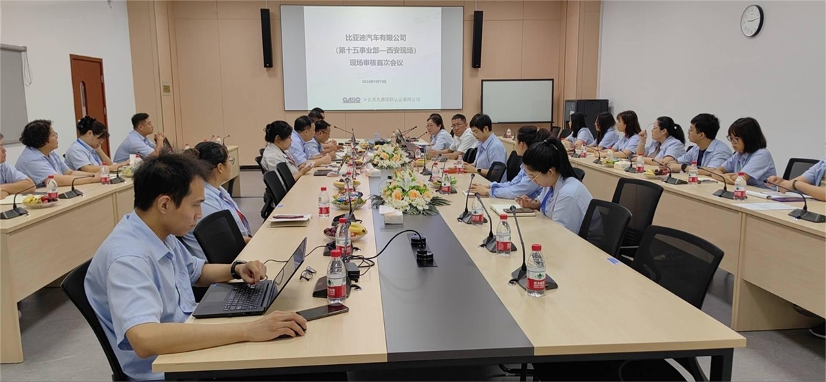 比亚迪01.jpg